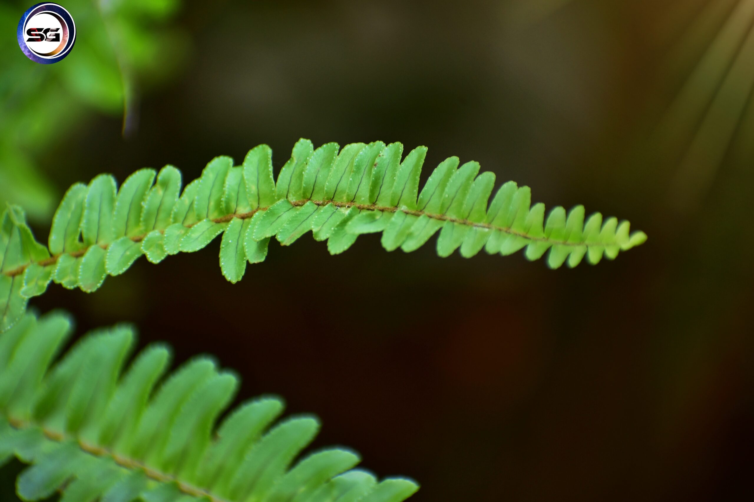 Best Photography Course In Pune